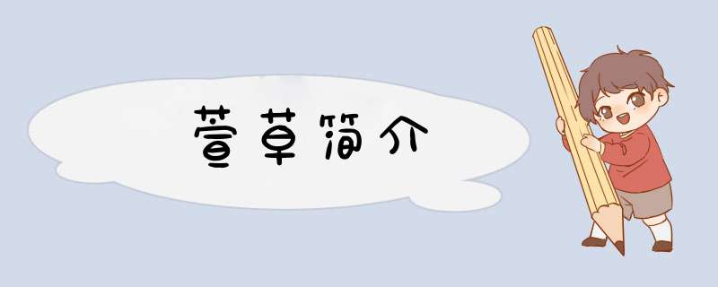 萱草简介,第1张