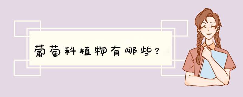 葡萄科植物有哪些？,第1张
