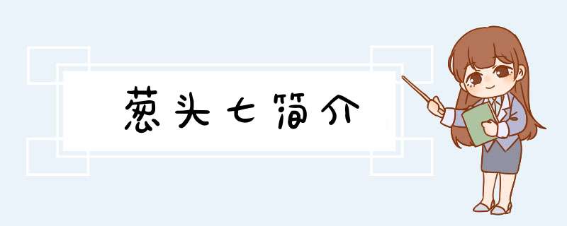 葱头七简介,第1张