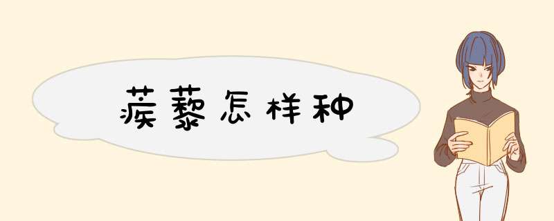 蒺藜怎样种,第1张