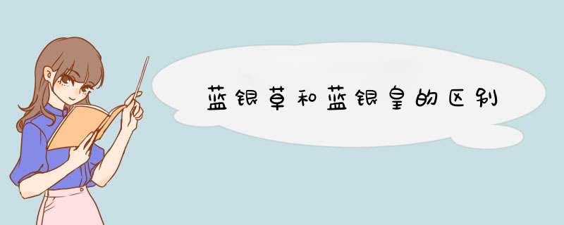 蓝银草和蓝银皇的区别,第1张