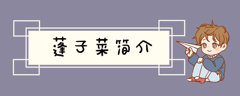 蓬子菜简介,第1张
