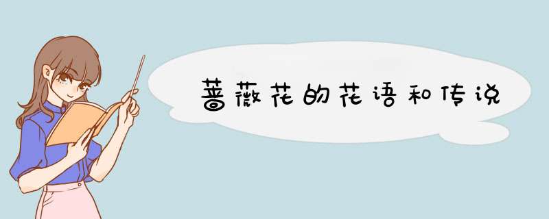 蔷薇花的花语和传说,第1张