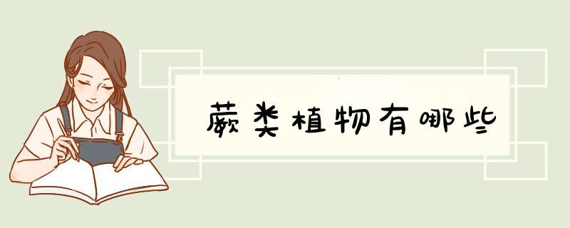 蕨类植物有哪些,第1张