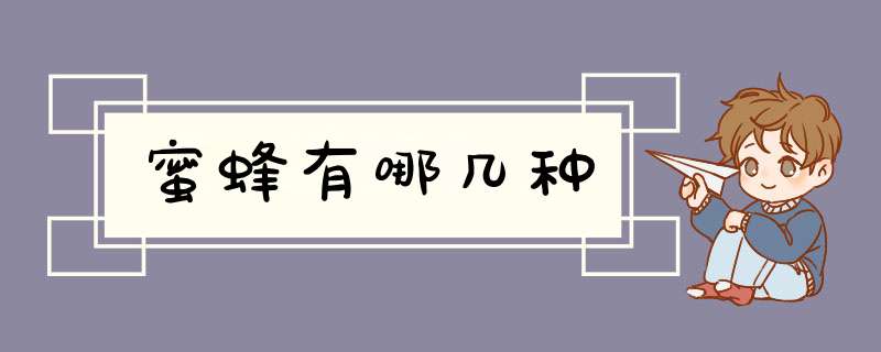 蜜蜂有哪几种,第1张