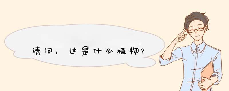 请问：这是什么植物？,第1张