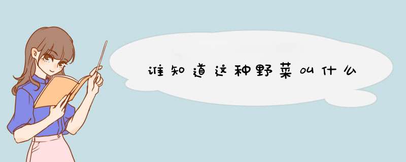 谁知道这种野菜叫什么