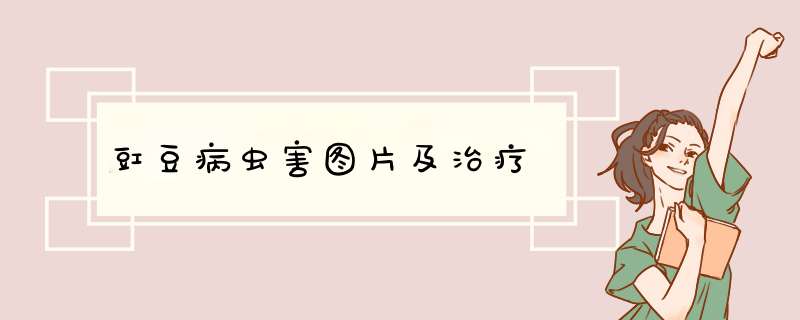 豇豆病虫害图片及治疗,第1张