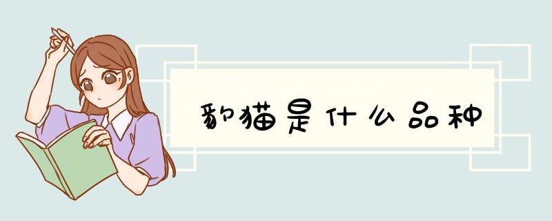 豹猫是什么品种