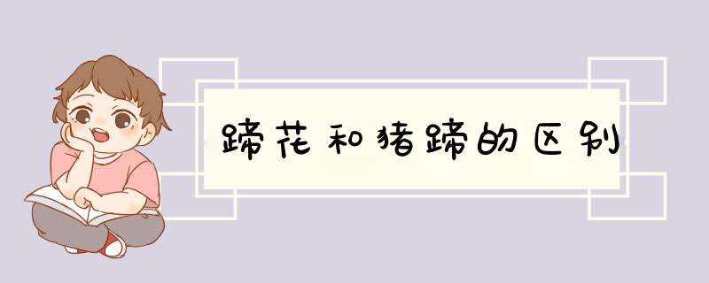 蹄花和猪蹄的区别,第1张