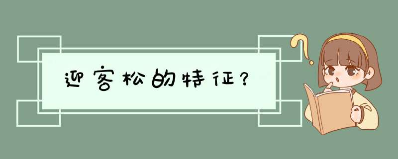 迎客松的特征？,第1张