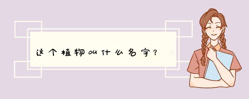 这个植物叫什么名字？,第1张
