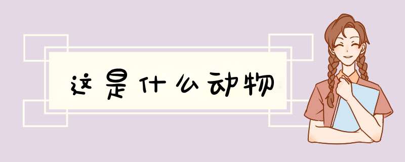 这是什么动物,第1张