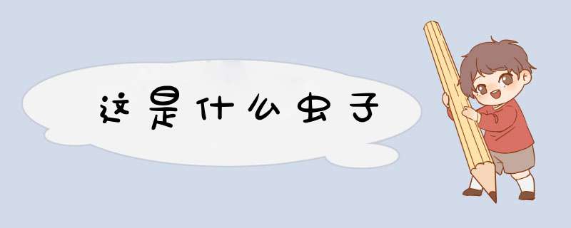 这是什么虫子,第1张