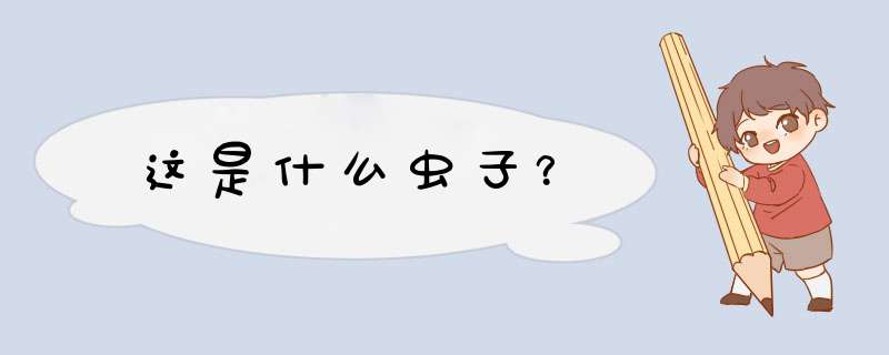 这是什么虫子？,第1张