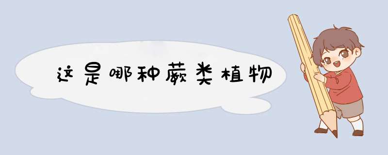 这是哪种蕨类植物