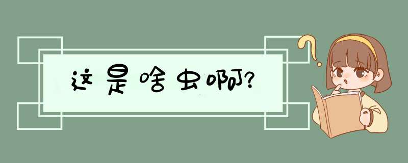 这是啥虫啊？,第1张