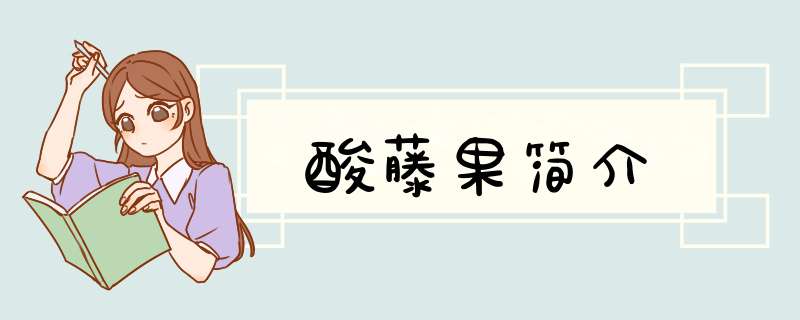 酸藤果简介,第1张