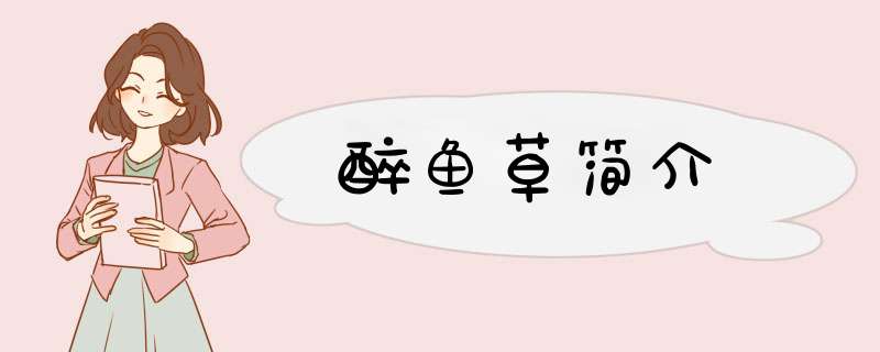 醉鱼草简介,第1张