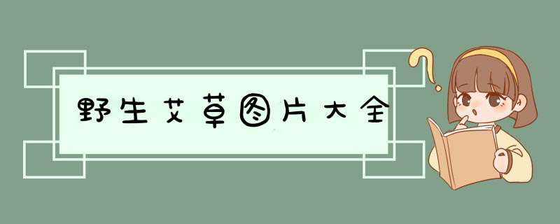 野生艾草图片大全,第1张