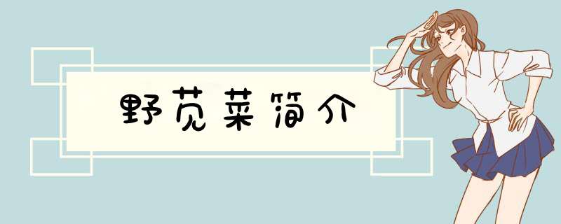 野苋菜简介,第1张