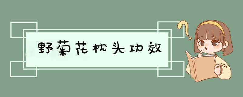 野菊花枕头功效,第1张