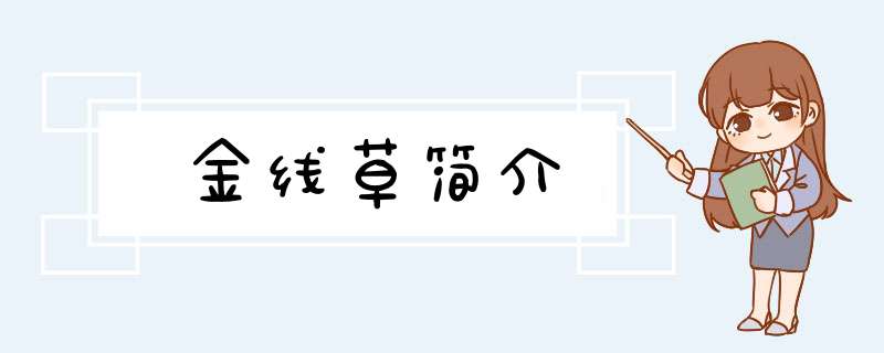 金线草简介,第1张