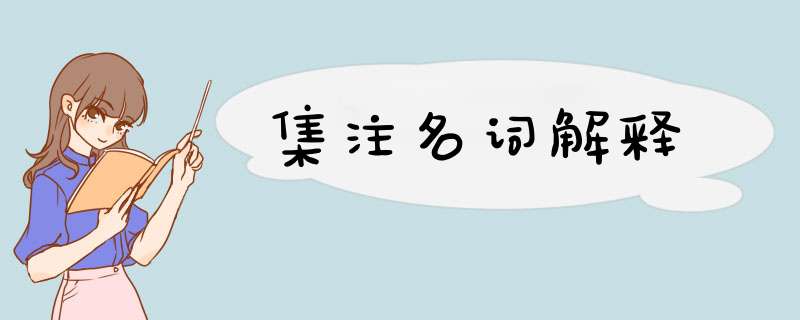 集注名词解释,第1张
