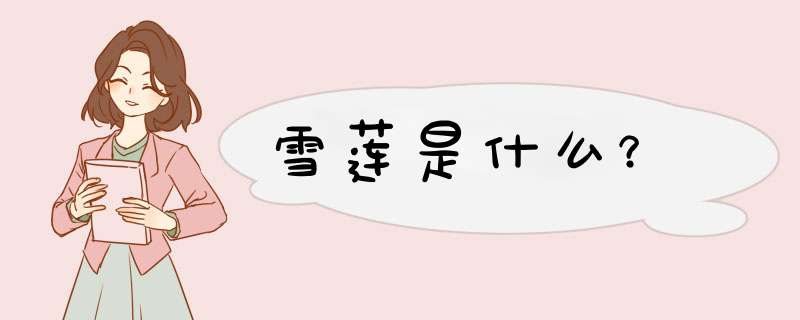 雪莲是什么？