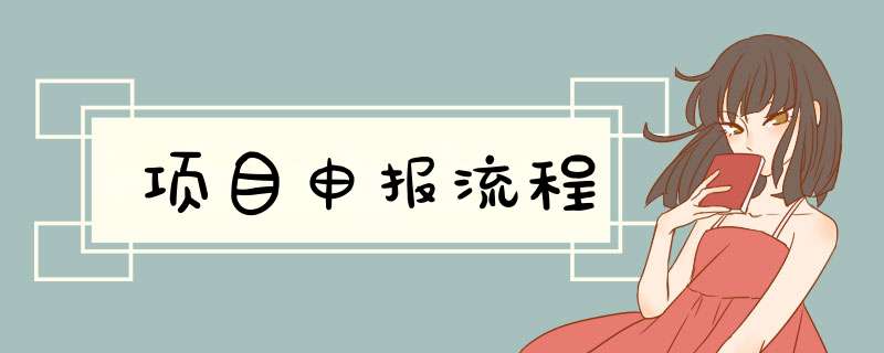 项目申报流程,第1张