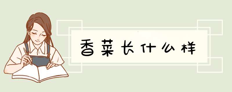香菜长什么样,第1张