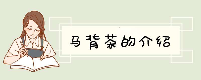 马背茶的介绍,第1张
