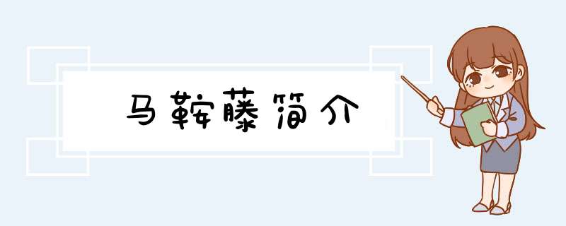 马鞍藤简介,第1张