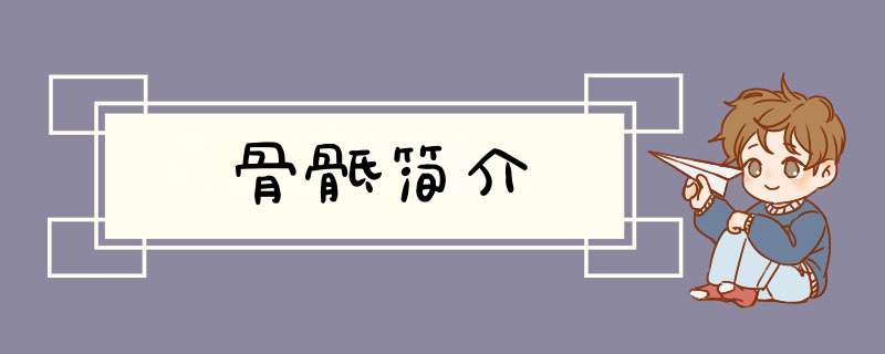 骨骶简介,第1张