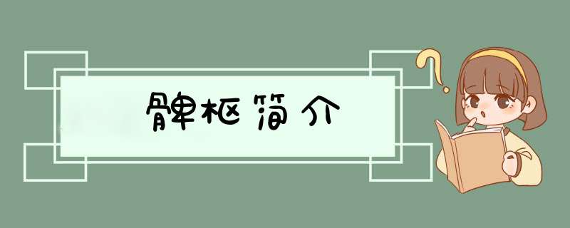 髀枢简介,第1张