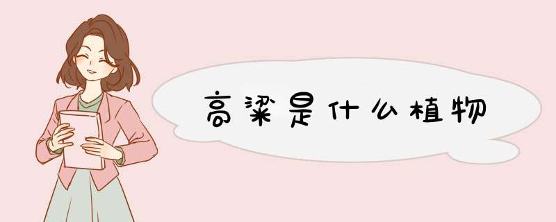 高粱是什么植物