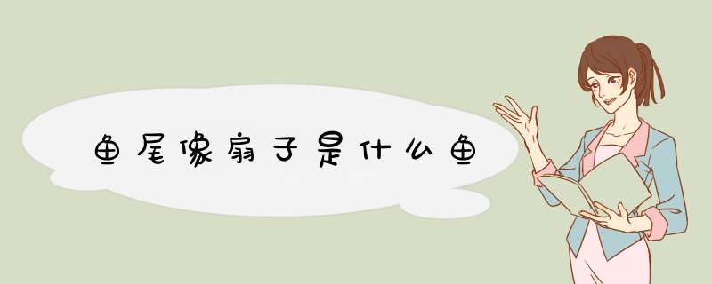 鱼尾像扇子是什么鱼,第1张