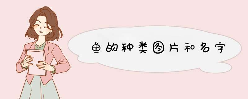 鱼的种类图片和名字,第1张