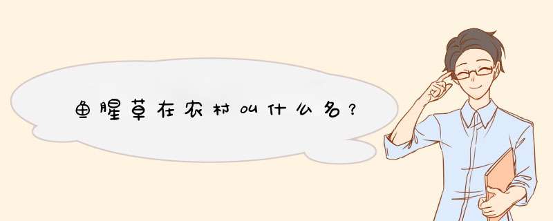 鱼腥草在农村叫什么名？,第1张