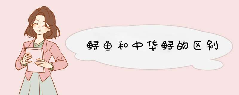 鲟鱼和中华鲟的区别,第1张