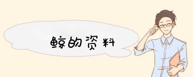 鲸的资料