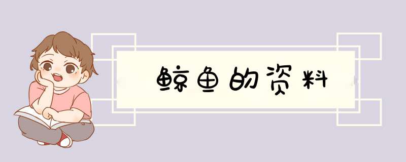 鲸鱼的资料,第1张