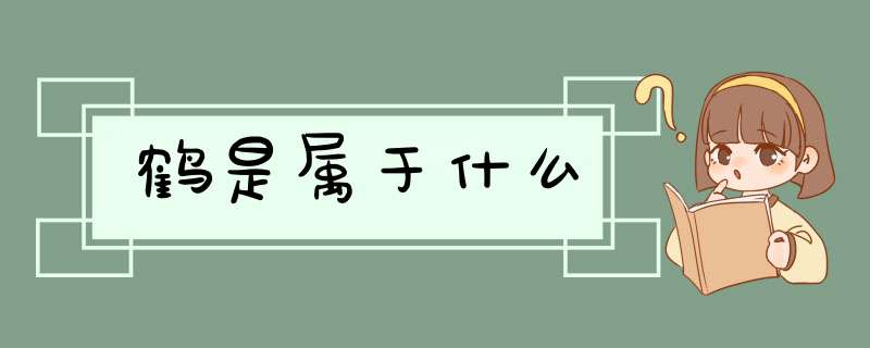 鹤是属于什么,第1张