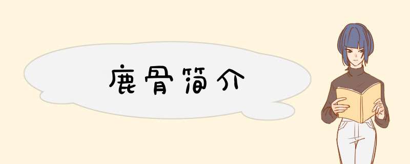鹿骨简介
