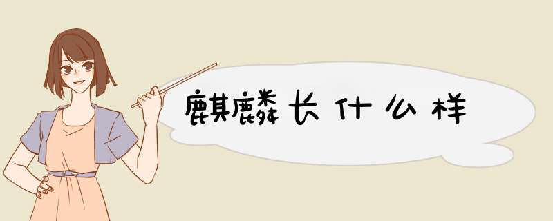 麒麟长什么样,第1张