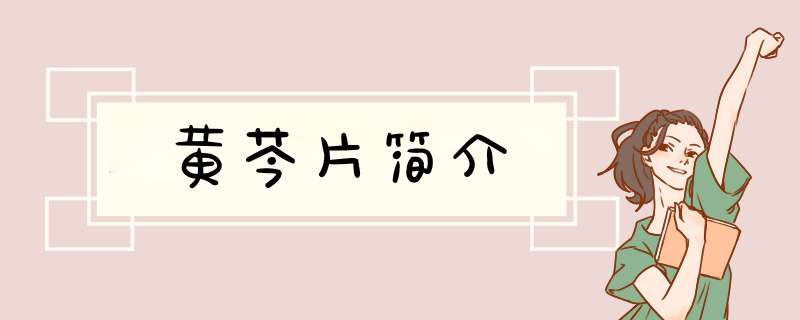黄芩片简介,第1张