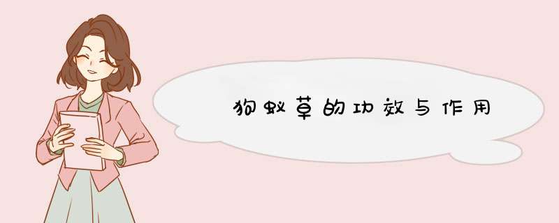 ﻿狗蚁草的功效与作用,第1张