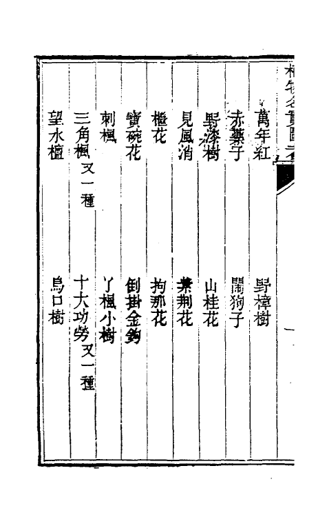 38845-植物名实图考三十五 (清)吴其浚撰.pdf_第3页