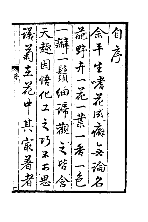60570_菊谱.pdf_第2页