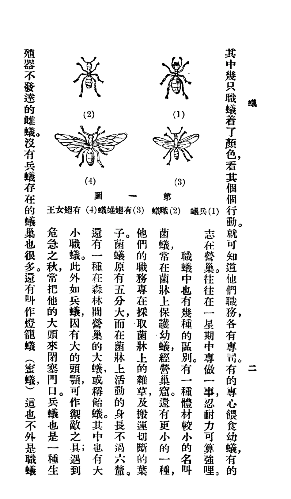106749-百科小叢書蟻_王雲五上海商務 .pdf_第3页